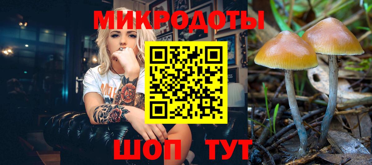 Галлюциногенные грибы Psilocybine cubensis Уссурийск